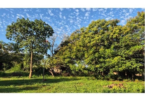 Terreno en GRAN OPORTUNIDAD!, Luque