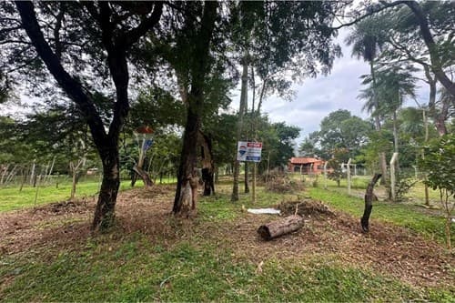 Terreno Ideal en San Bernardino: ¡Inversión Única!, foto 2