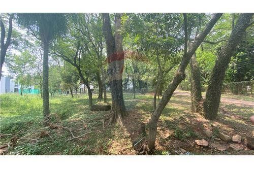 Venta espectacular terreno en bº hollywood-surubii