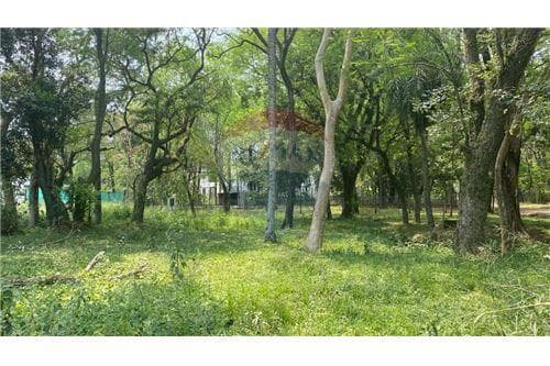 Espectacular terreno en bº hollywood-surubii — foto 2