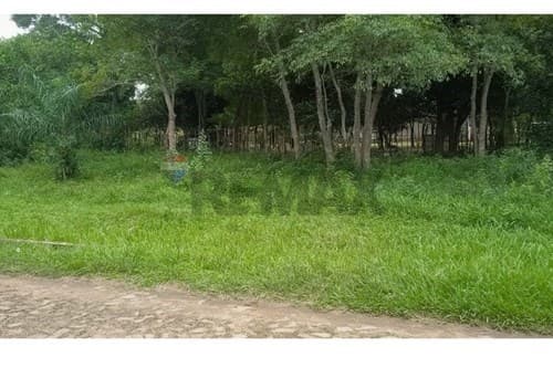 Terreno nueva colombia — foto 4