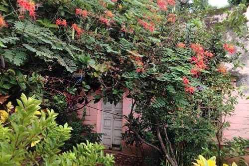 En venta casa S. Lorenzo a refaccionar o demoler — foto 5