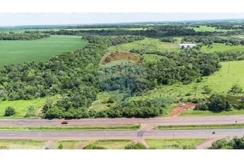 10 Hectareas sobre Ruta py 02 - km 52 YGUAZU, foto 2