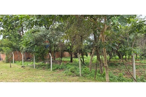 Terreno en venta - Luque, barrio zarate isla — foto 2