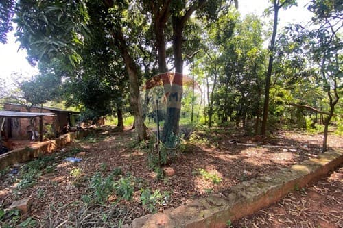 Terreno en venta de 3.270 mt2 en Itauguá — foto 5
