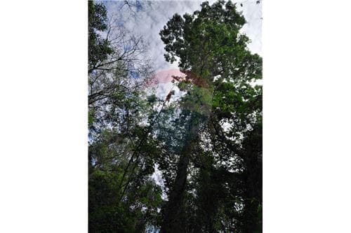 Bello ,tranquilo y cerca del centro — foto 3