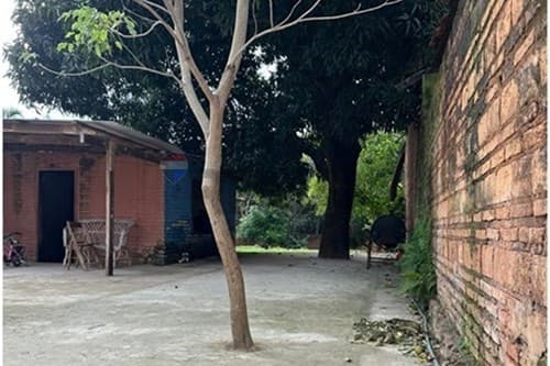 Increíble Oportunidad de Inversión en Vista Alegre — foto 5