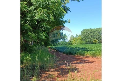 "Terreno Ideal en Capitán Miranda: 11.400 m²" — foto 2