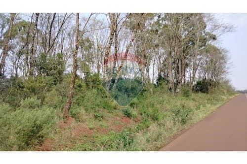 A la venta Hermosa propiedad en Natalio — foto 5