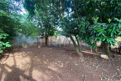 Terreno en venta – Km 7 Don Bosco — foto 4