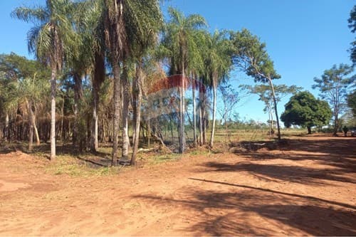 Terreno en Itauguá: 19,000 m² para Inversiones — foto 3