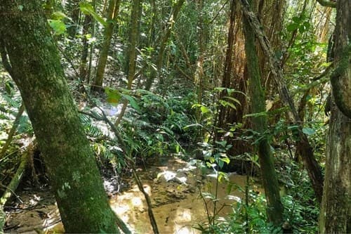de amplio Terreno en Piribebuy Cordillera, foto 5