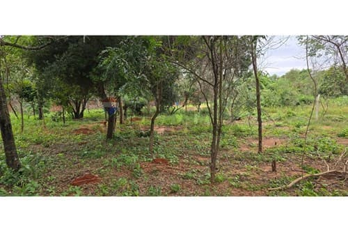 Terreno en venta - Luque, barrio zarate isla — foto 4