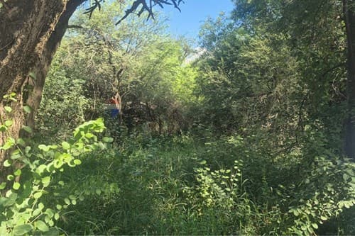 Terreno Estratégico en Filadelfia para Inversores, foto 3
