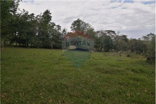 Propiedad Agricola en Capitan Miranda! — foto 2