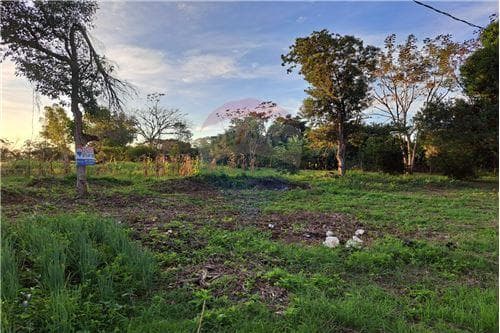 Amplio terreno en venta — foto 2
