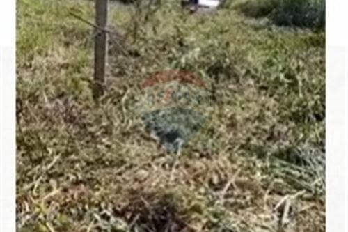 de Terreno en Cañada, Ypane — foto 3