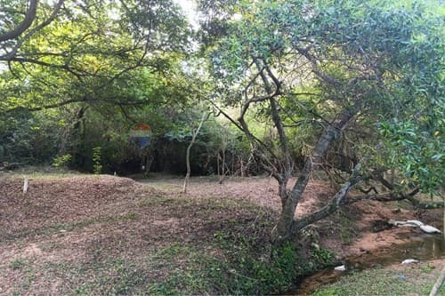 Remato terreno de 1170 m2 a metros de acceso sur — foto 3