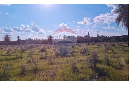 Inversión segura en tierra fértil, foto 3