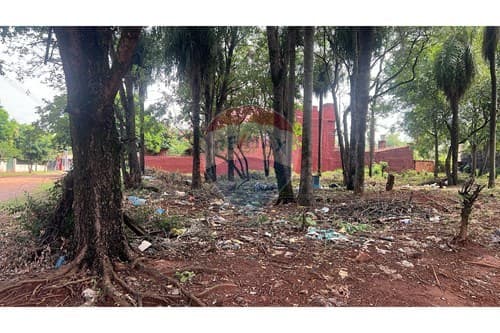 Terreno en esquina en Luque — foto 2