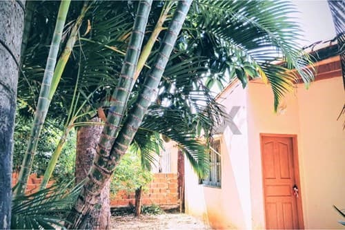 ¡Vendo casa con amplio patio en San Lorenzo!, foto 5