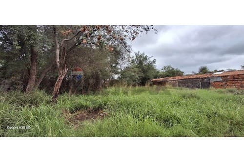 Terreno en Limpio, foto 4