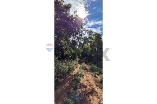 Terreno en Venta en Loma Grande — foto 5