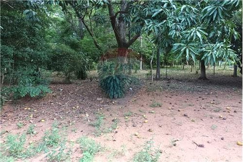 Terreno en venta, caacupe, foto 5