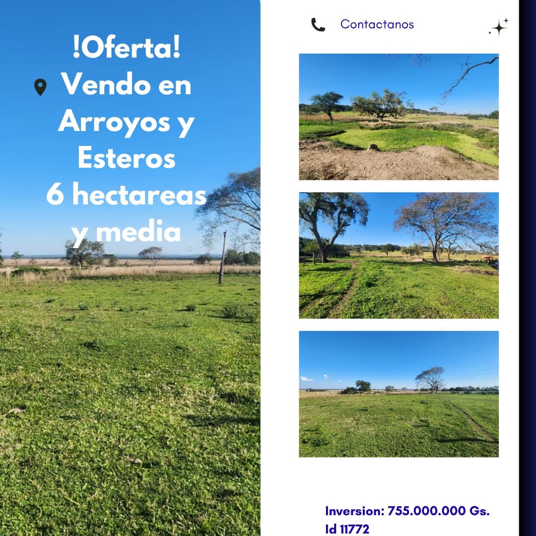 Campo de 6,5 ha. En arroyos y esteros – zona alta — foto 1