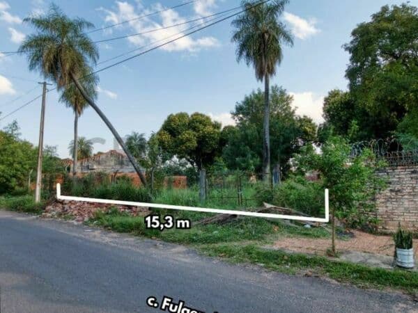 Terreno de 1045 m2 en lambare, foto 3