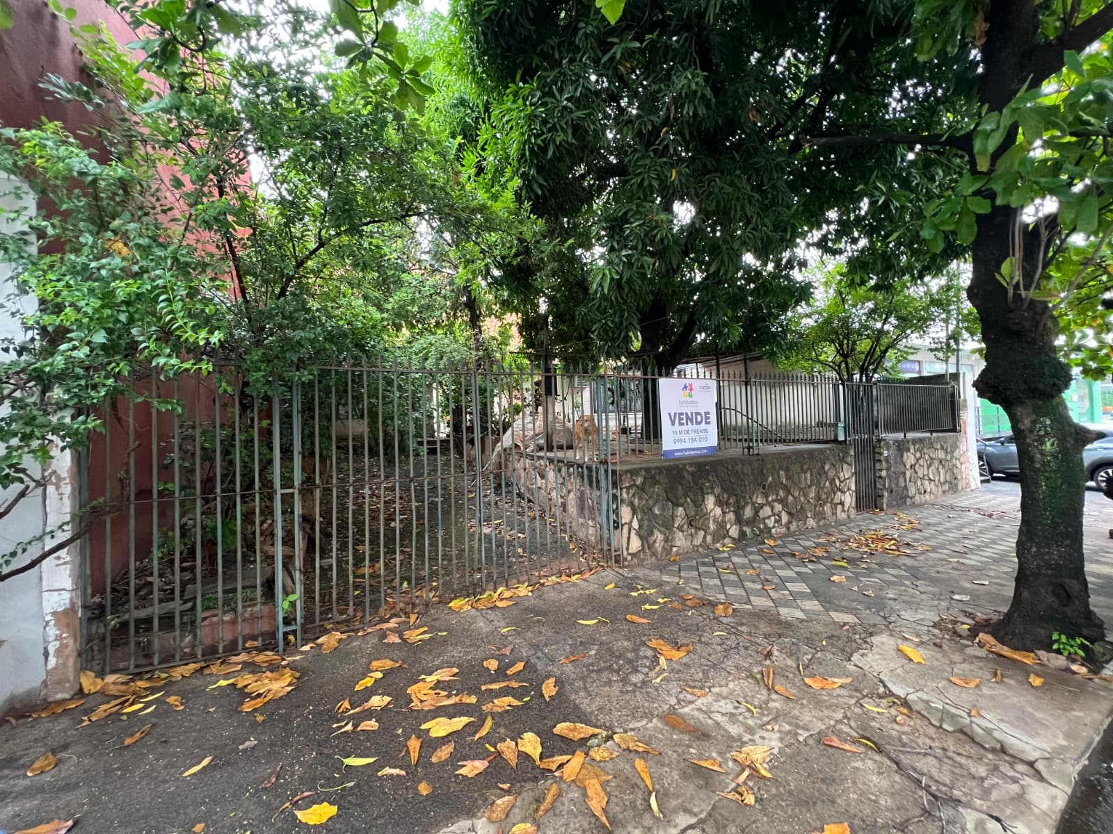 Propiedad sobre julio correa, zona de alto transito — foto 2