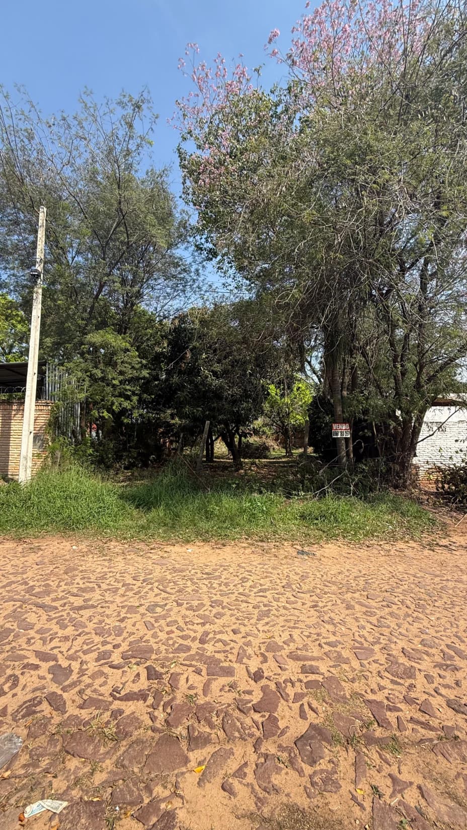 Terreno de 1182 m2 en la entrada de palma loma - Luque, foto 1