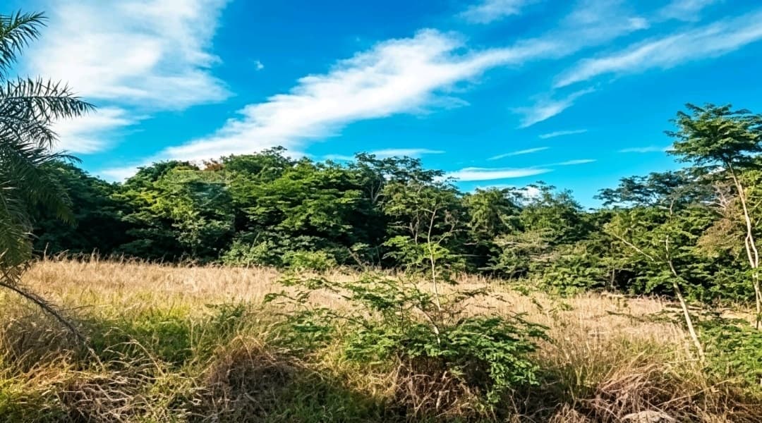 Terreno en venta – San Bernardino, Cordillera – Barrio Cerrado Puerta del Lago, foto 4