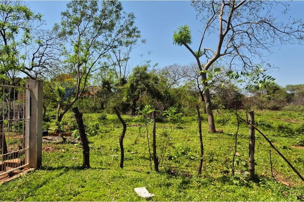 Terreno en Luque - San Bernardino, foto 3