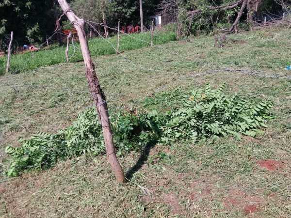 Terreno excelente ubicacion, foto 2
