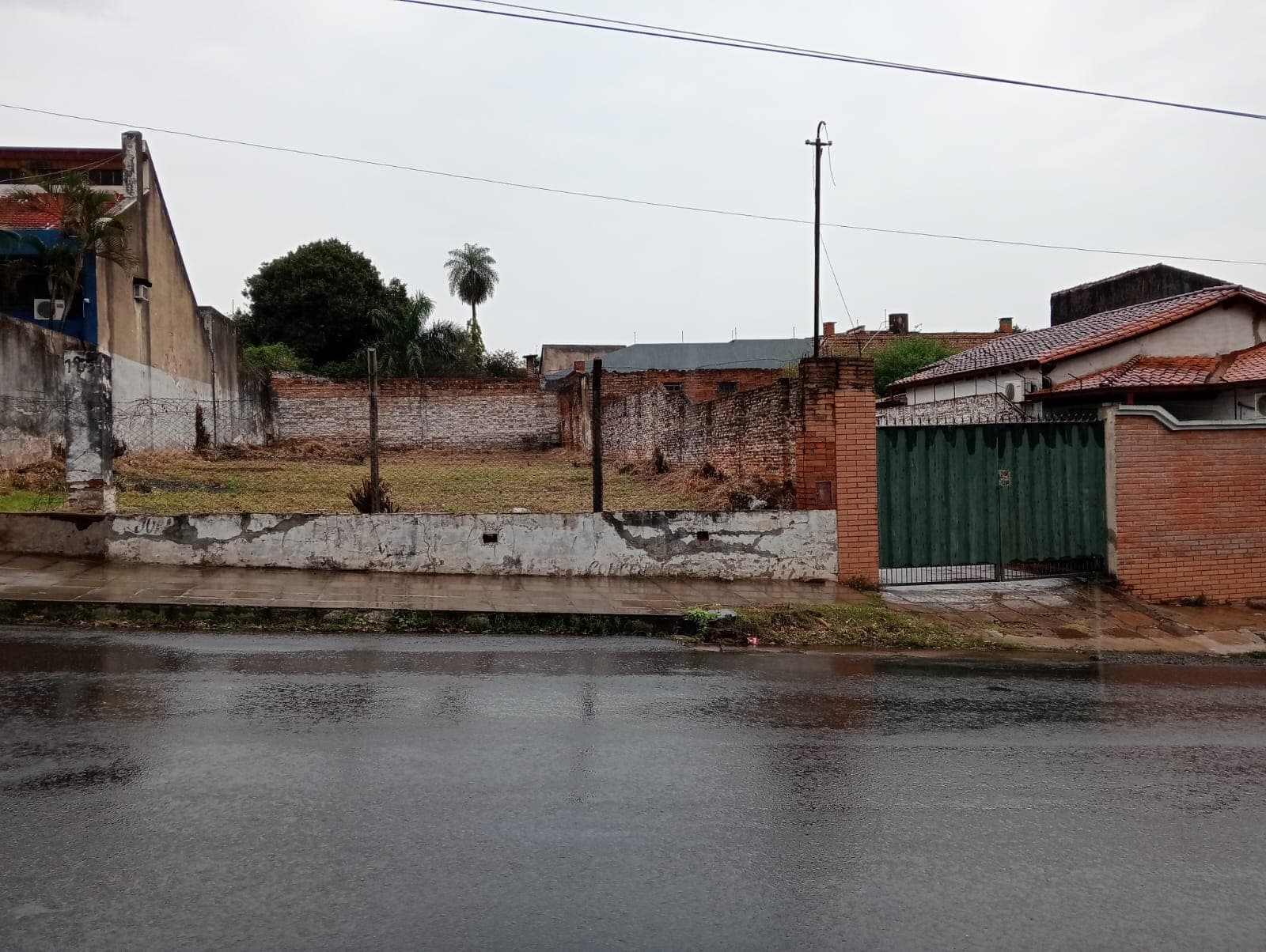 Terreno-pettirossi — foto 2