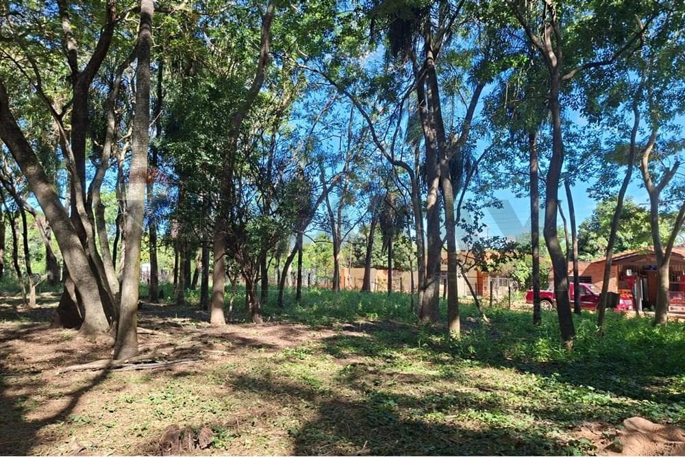 Terreno en San Bernardino, ¡Inversión Ideal! — foto 4