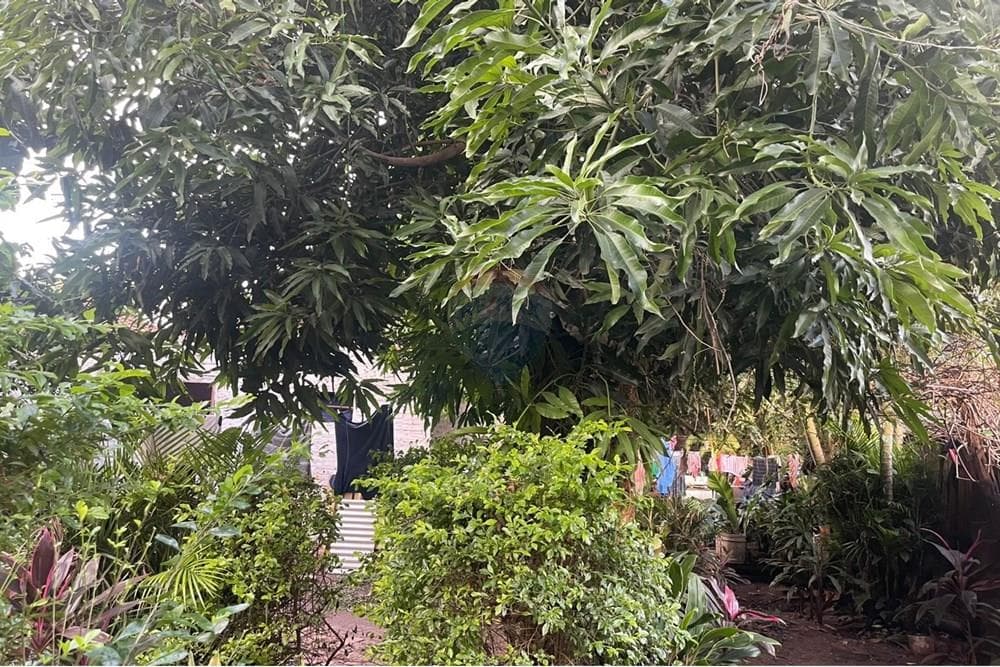 Terreno - Venta - Paraguay Central San Lorenzo, foto 2
