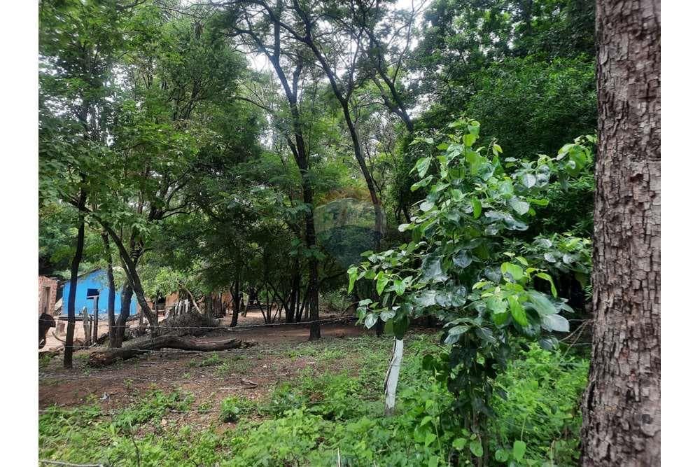 Oportunidad única de terreno San Bernardino, foto 3