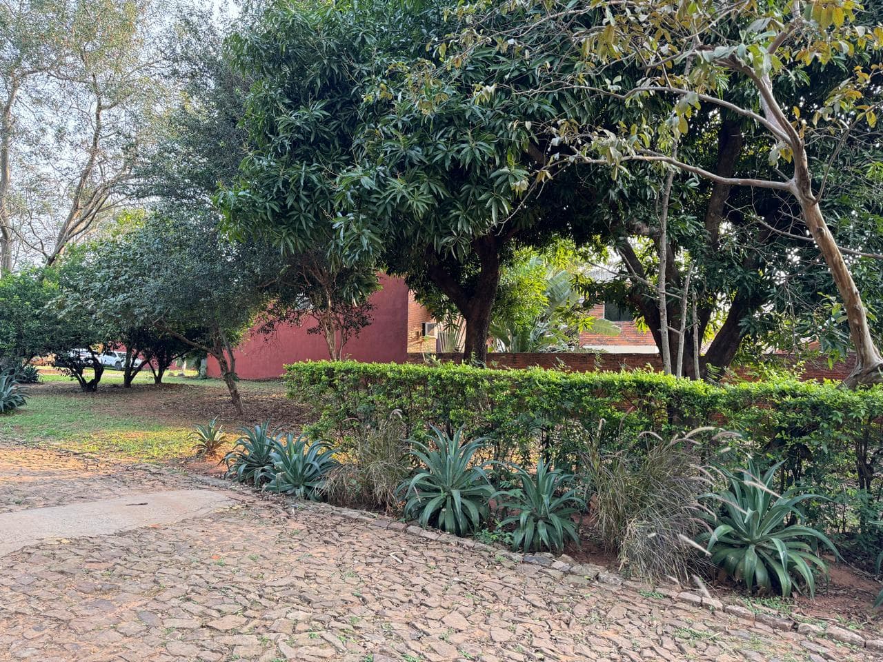 Terreno en Luque zona laurelty, foto 2