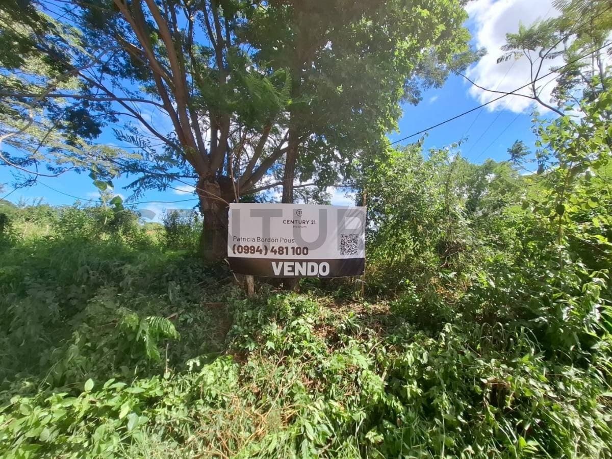 Amplio terreno en venta en Yaguarón, foto 2