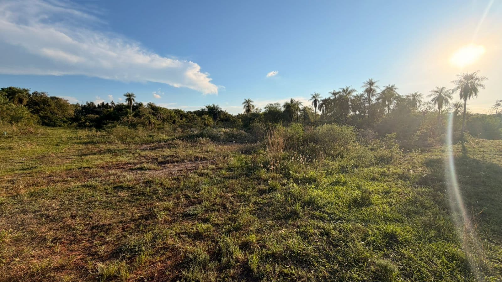 Terreno en oferta - piribebuy, foto 2
