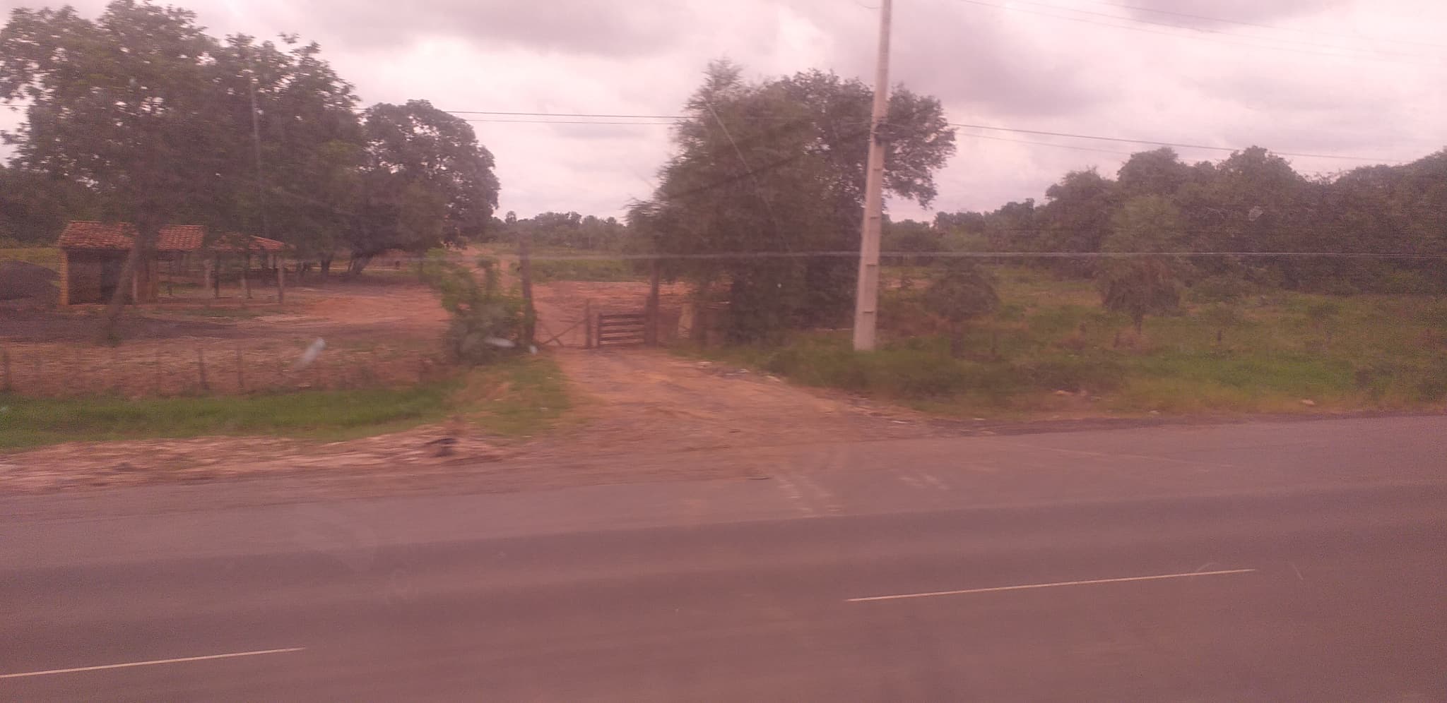 de 35 has. frente con ruta Villa Hayes Falcón — foto 4