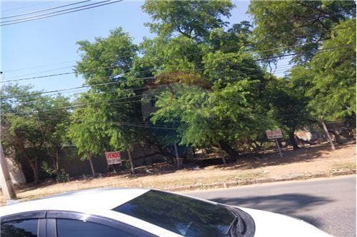 De hermoso y amplio terreno sobre avenida importante en Lambaré, foto 1