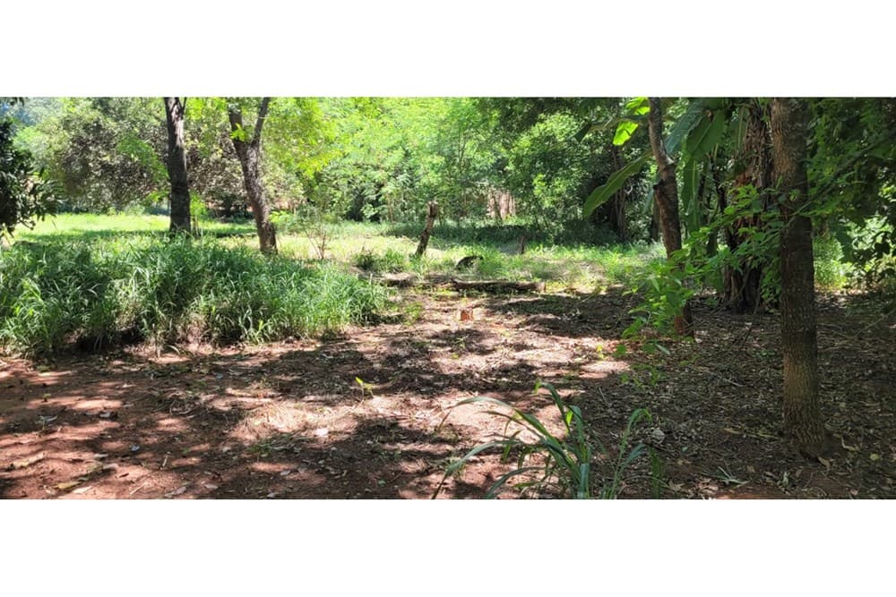 Terreno-Venta-29 de Setiembre y Jacaranda, San Antonio, Central, foto 5