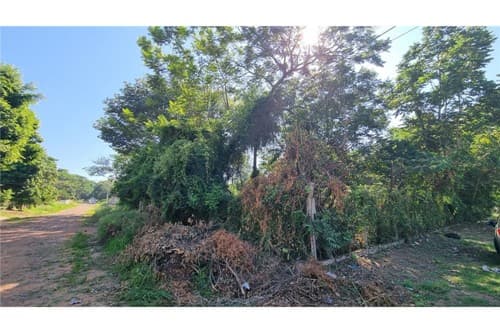 Terreno en lambare puerto pabla — foto 4