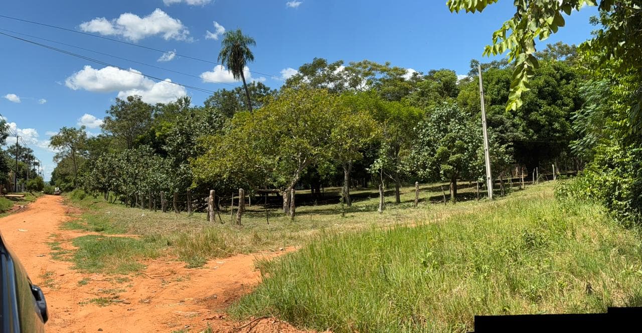 Terreno en venta coronel oviedo, foto 1
