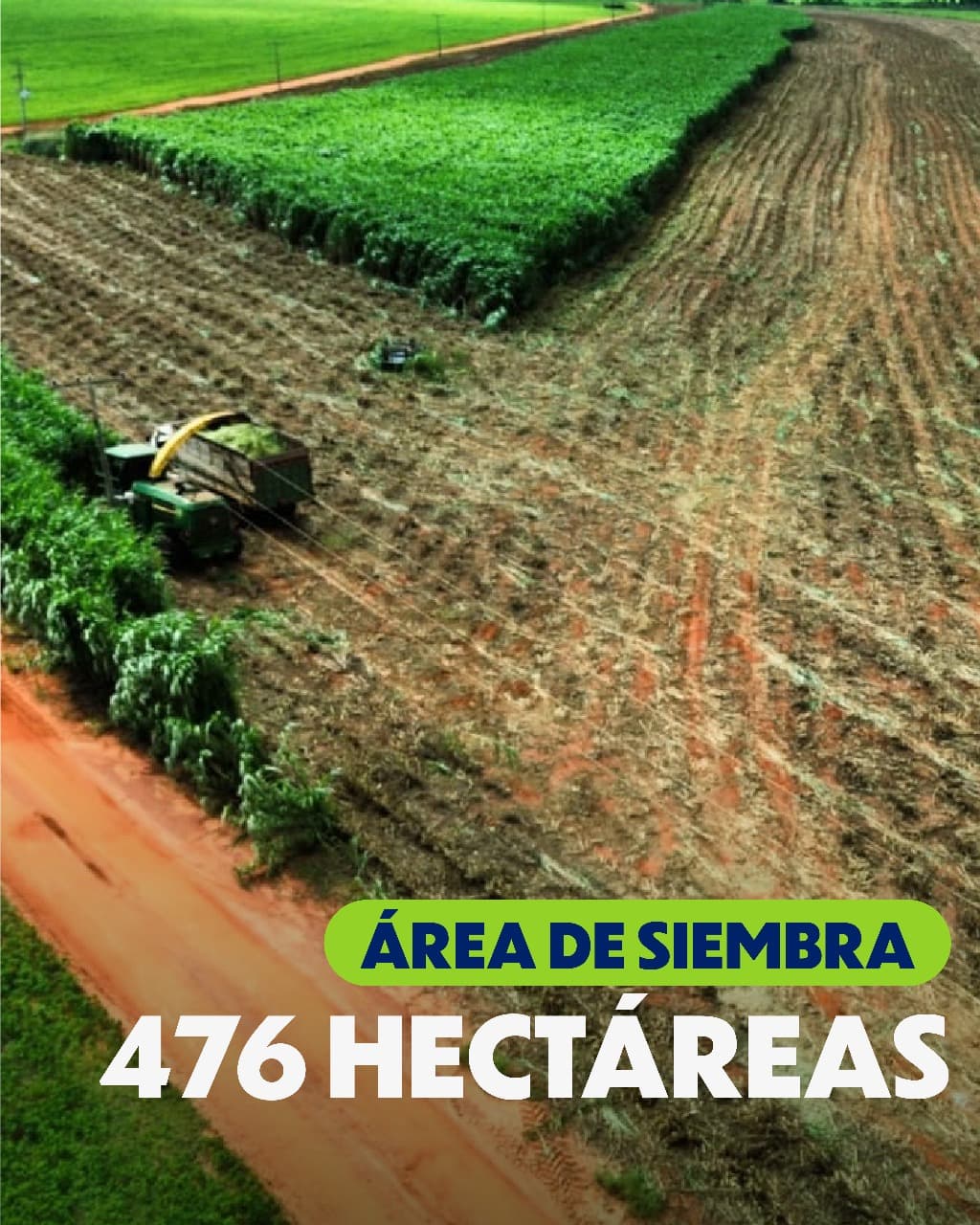 Propiedad Agrícola de 530 Hectáreas en San Pedro - CLCS7640832 — foto 3