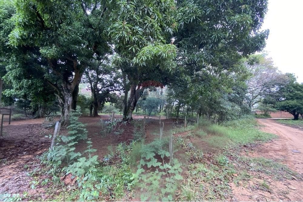 Terreno - Venta - San Bernardino, Paraguay, Inversión!, foto 2