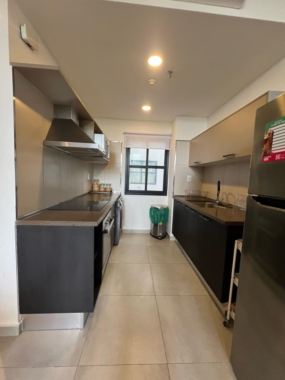 Hermoso Dpto de 2 Habit Amoblado en Edificio Boutique, foto 3